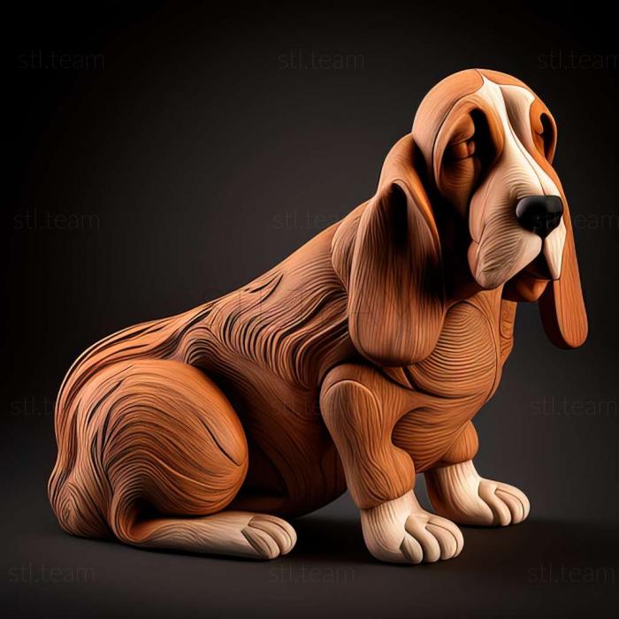 Animals Artesian Norman Basset dog